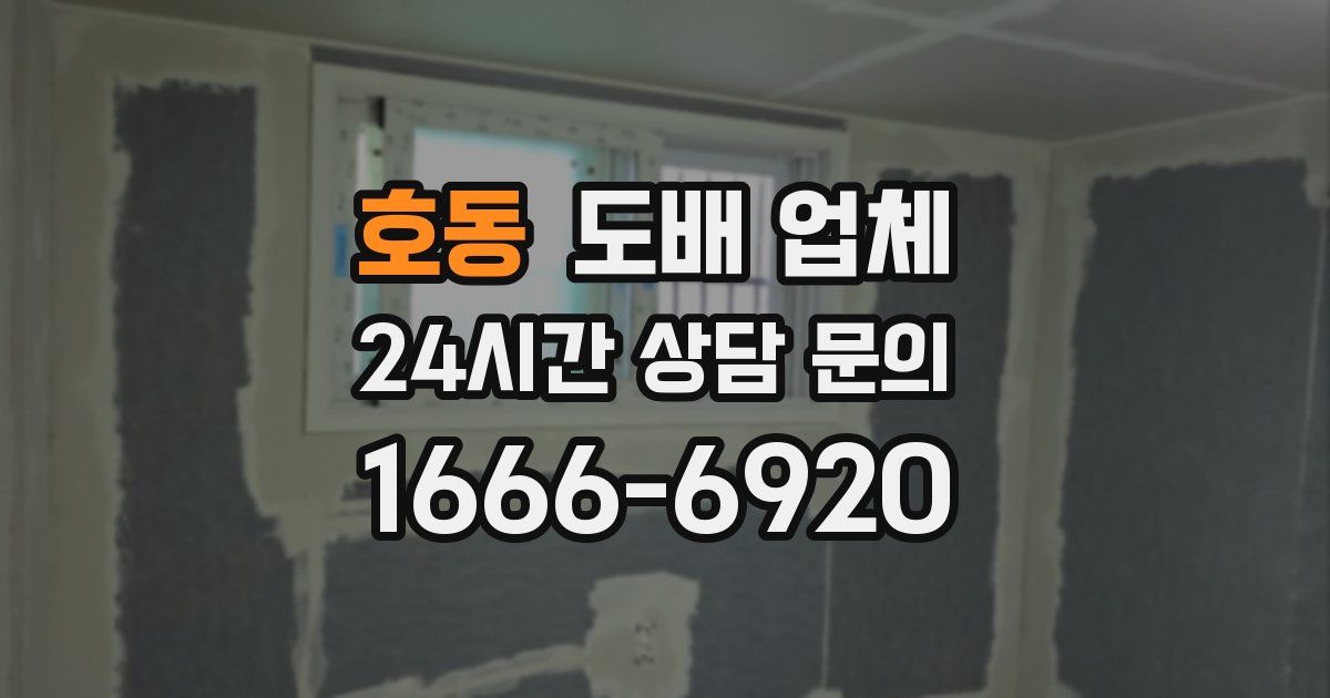 호동 도배 업체