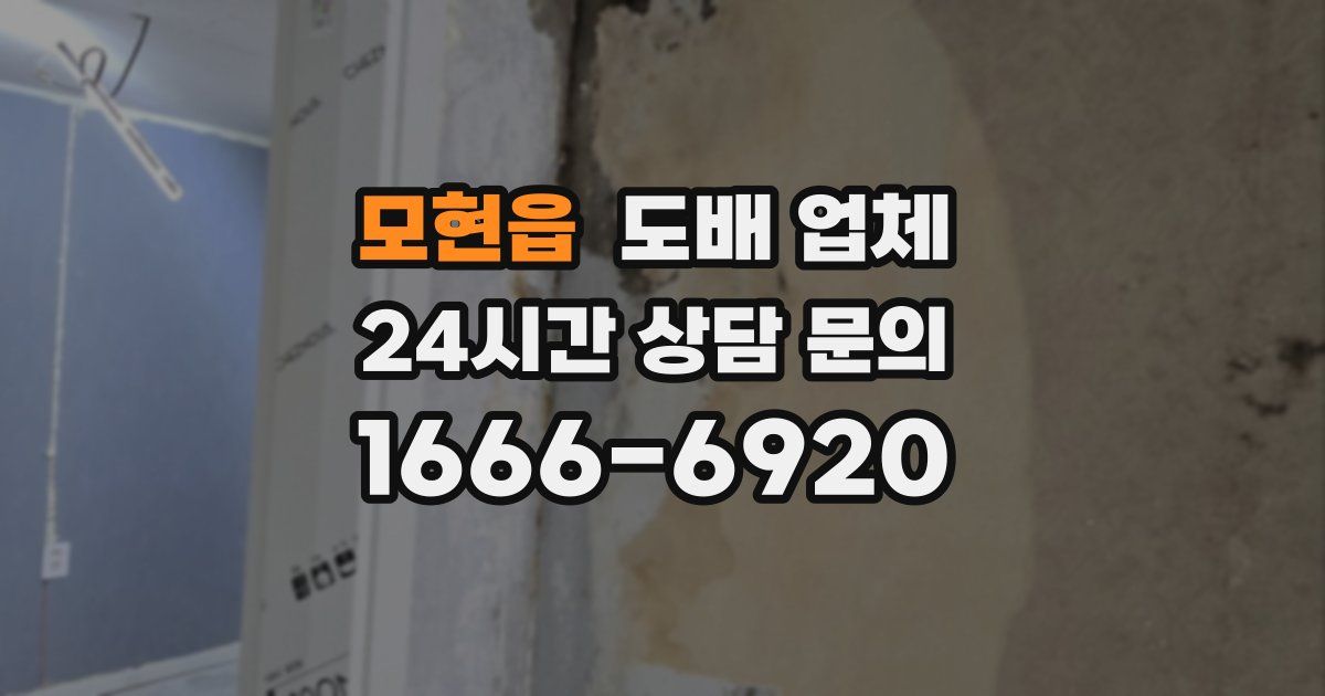 모현읍 도배 업체