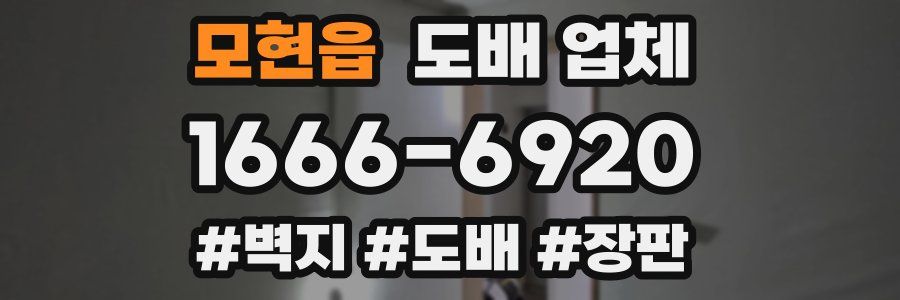 모현읍 도배 업체