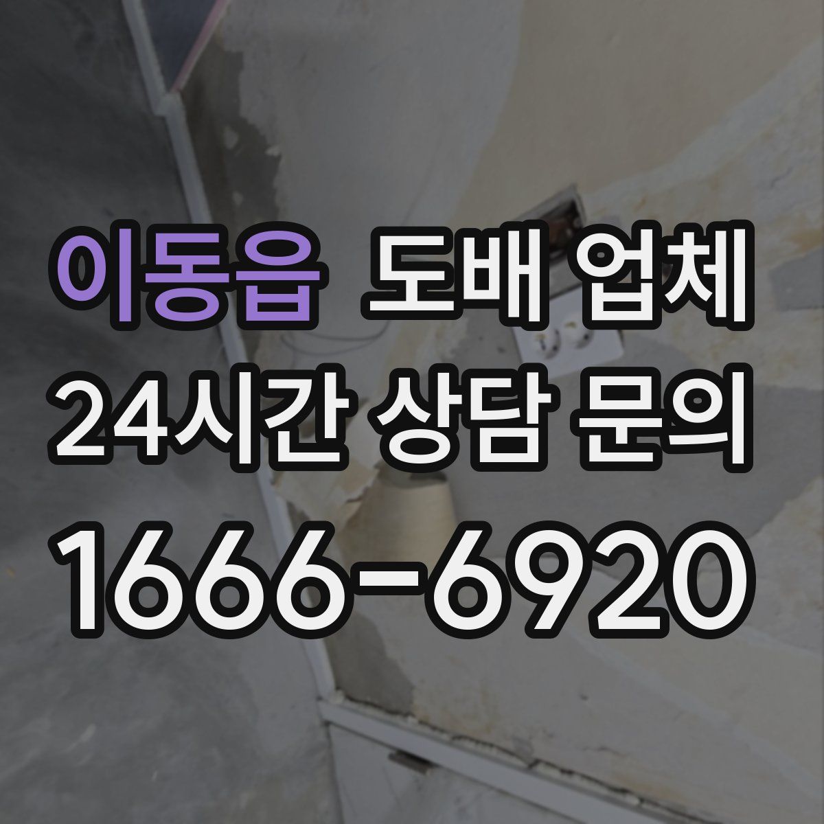 이동읍 도배 업체