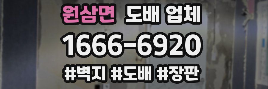 원삼면 도배 업체