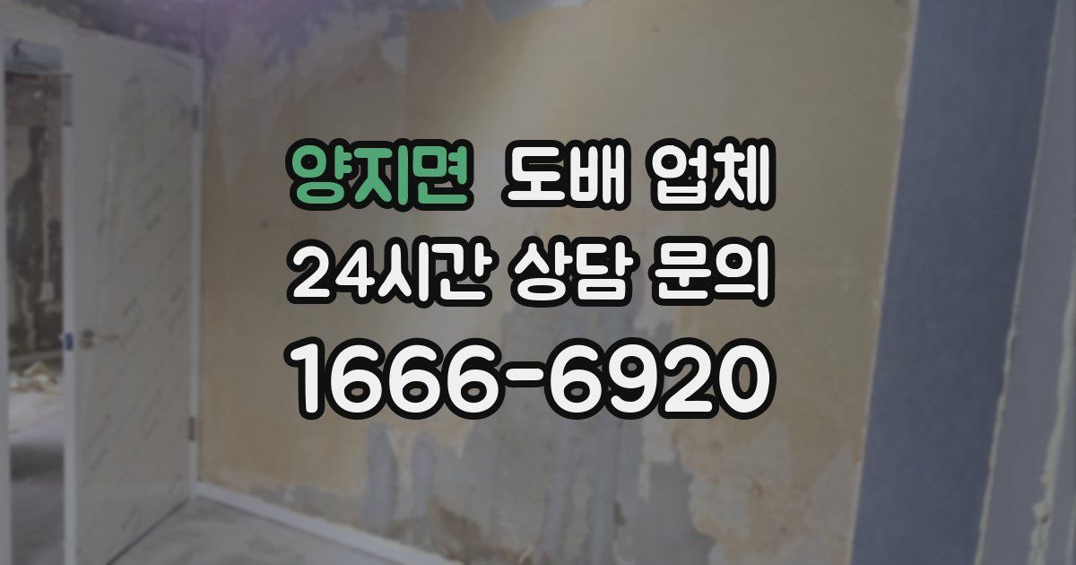 양지면 도배 업체