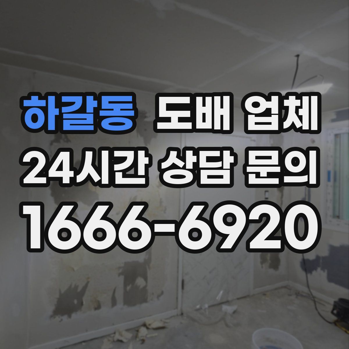 하갈동 도배 업체