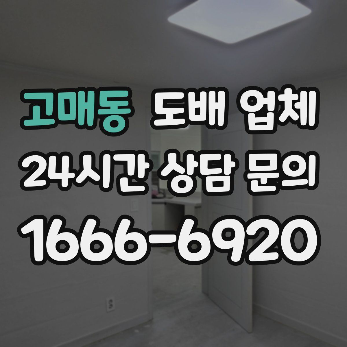 고매동 도배 업체