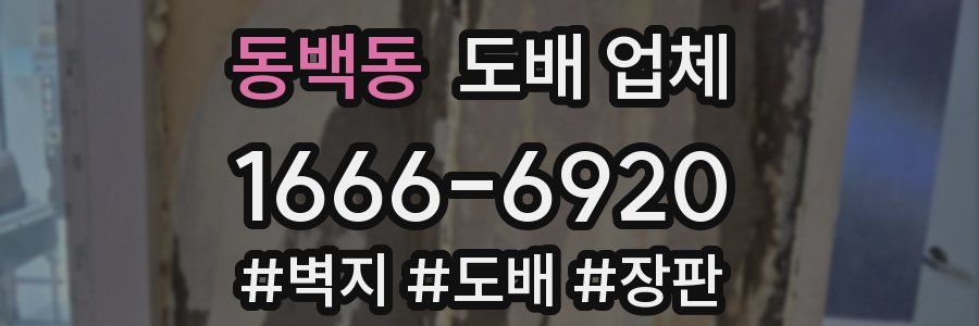 동백동 도배 업체