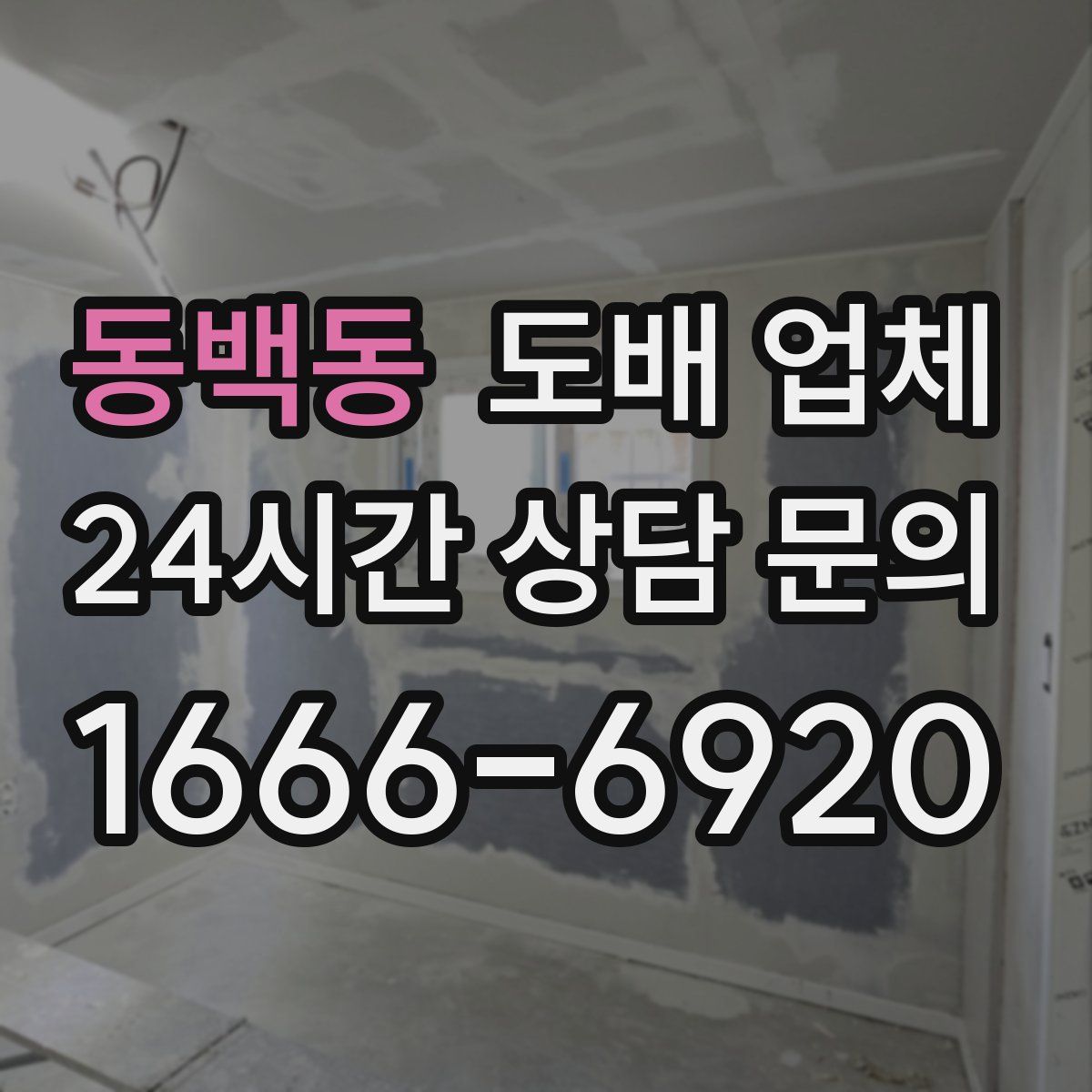동백동 도배 업체