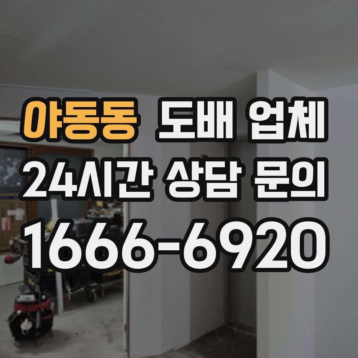 야동동 도배 업체