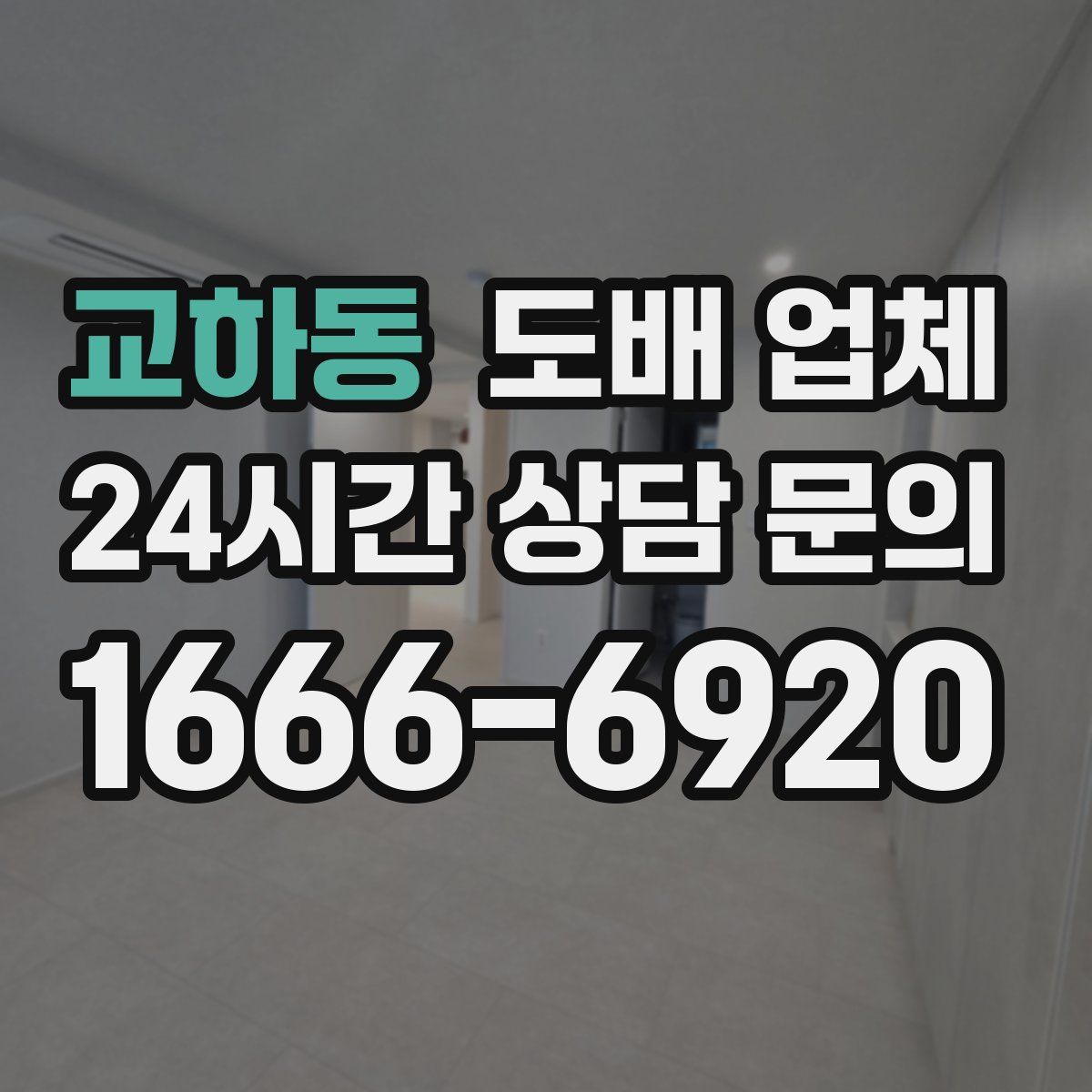 교하동 도배 업체