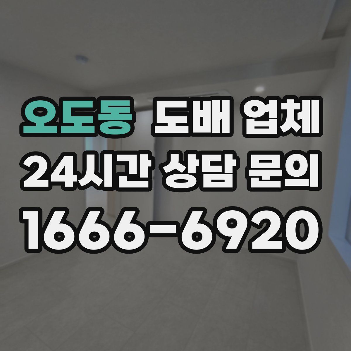 오도동 도배 업체