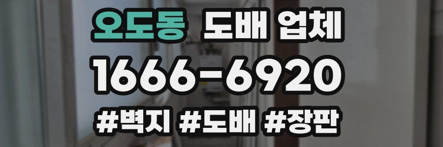 오도동 도배 업체