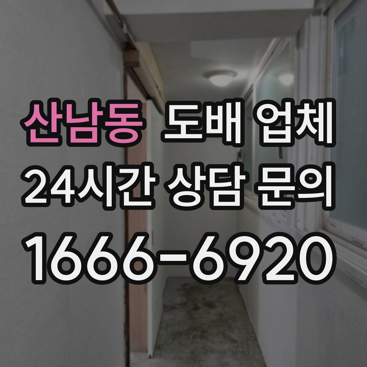 산남동 도배 업체