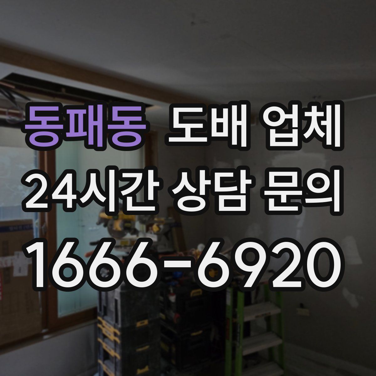 동패동 도배 업체