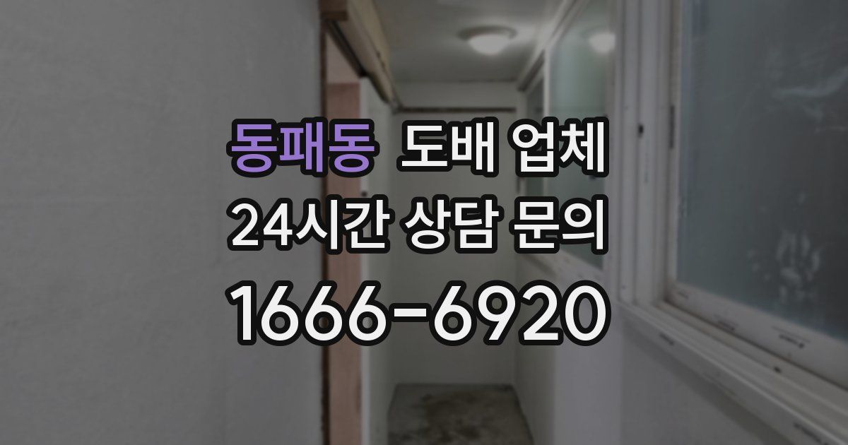 동패동 도배 업체