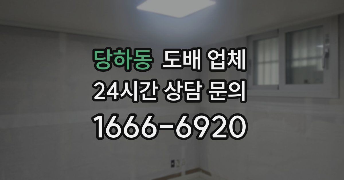 당하동 도배 업체
