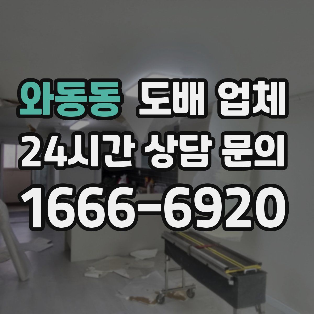와동동 도배 업체