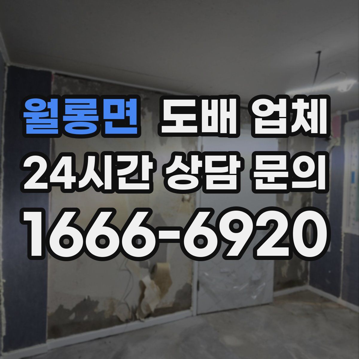 월롱면 도배 업체