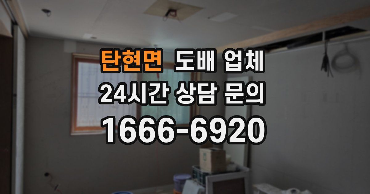 탄현면 도배 업체