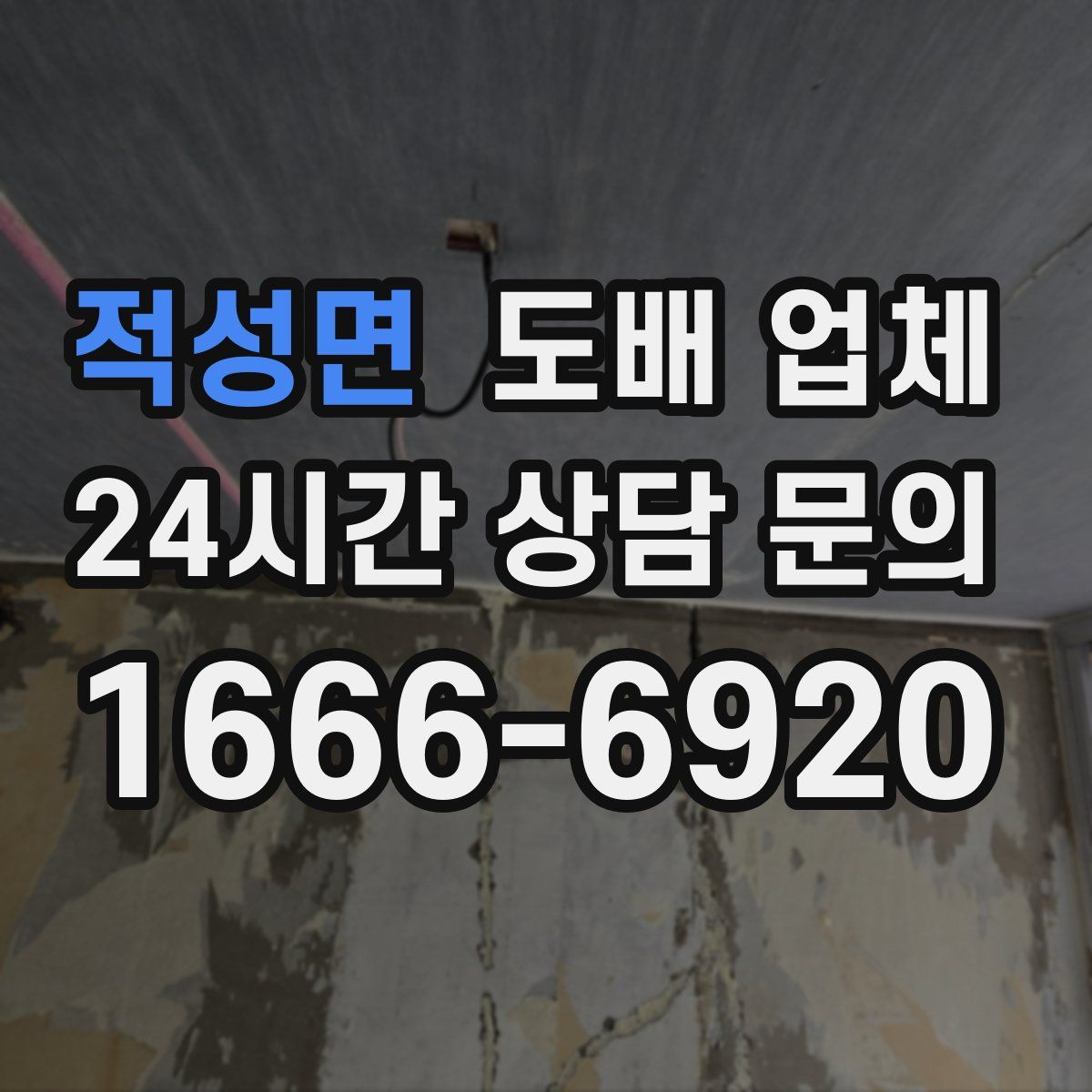적성면 도배 업체
