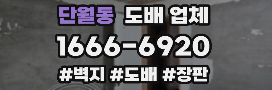 단월동 도배 업체