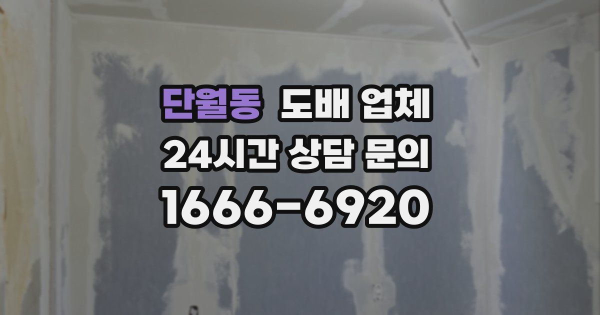 단월동 도배 업체