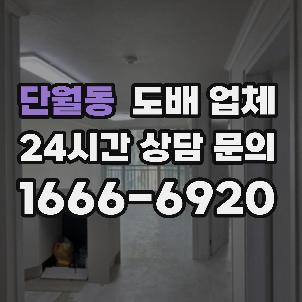 단월동 도배 업체