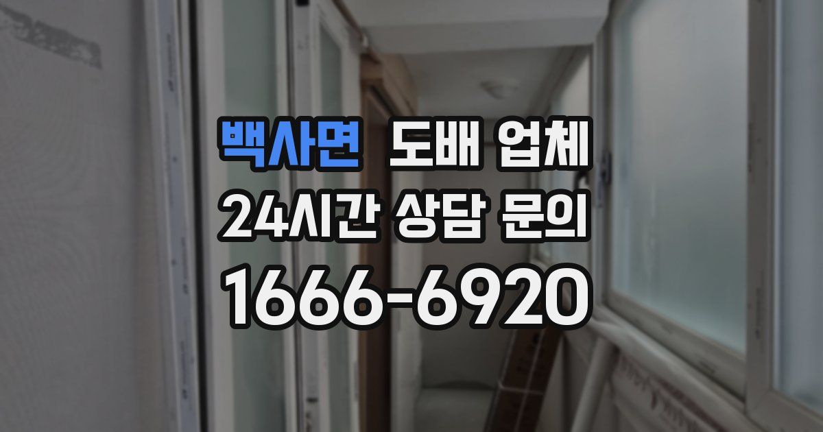 백사면 도배 업체