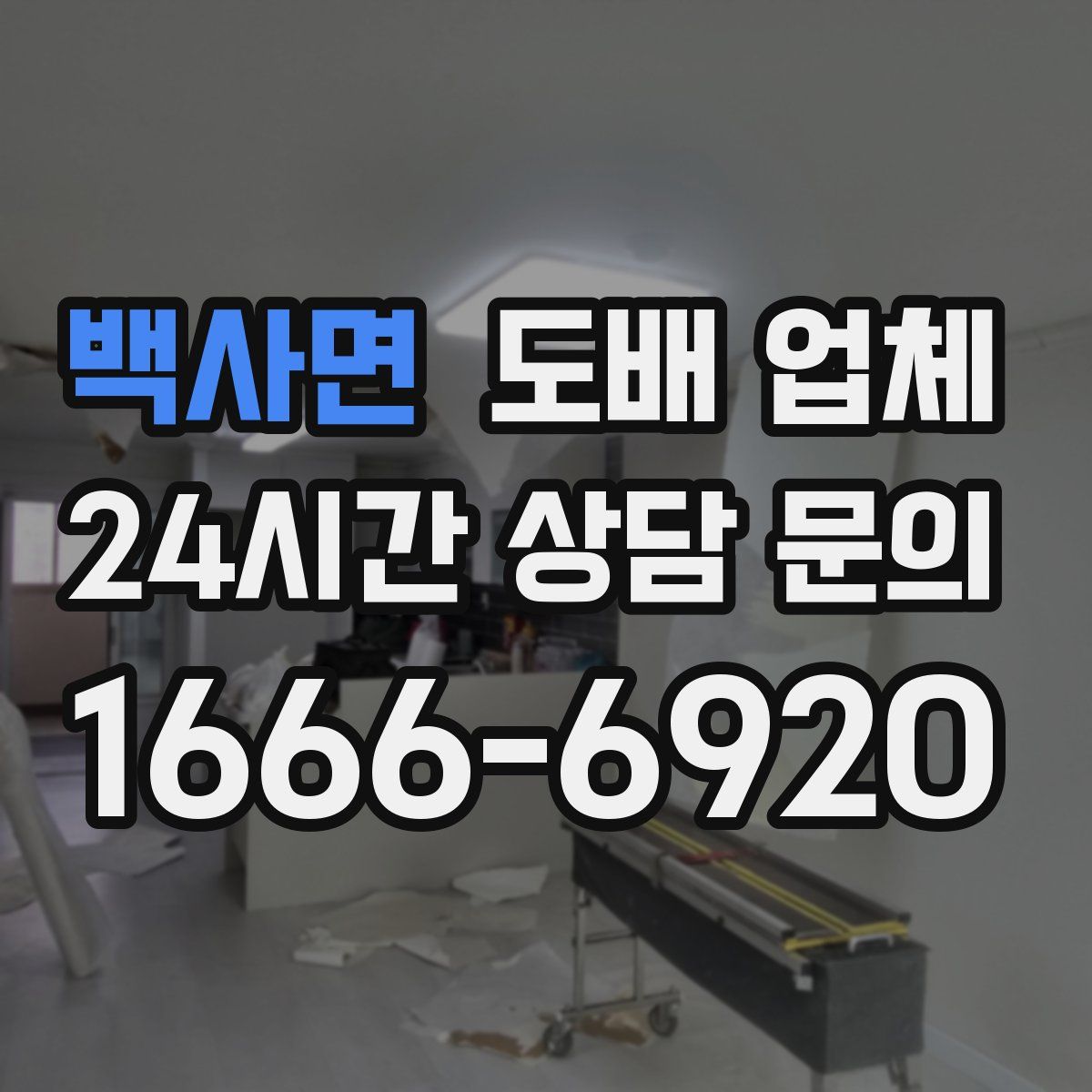백사면 도배 업체