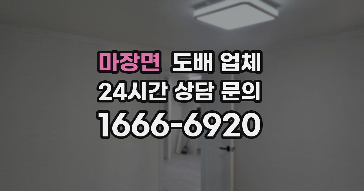마장면 도배 업체