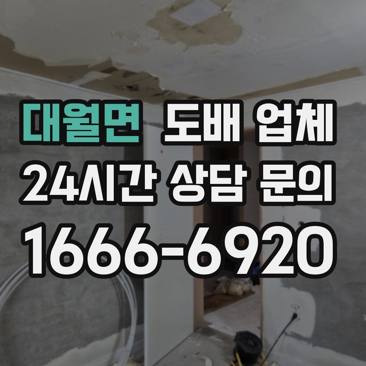 대월면 도배 업체