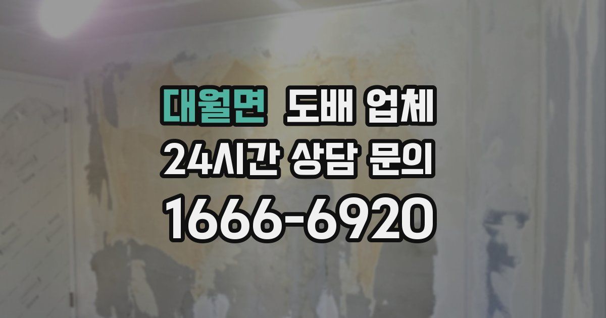 대월면 도배 업체