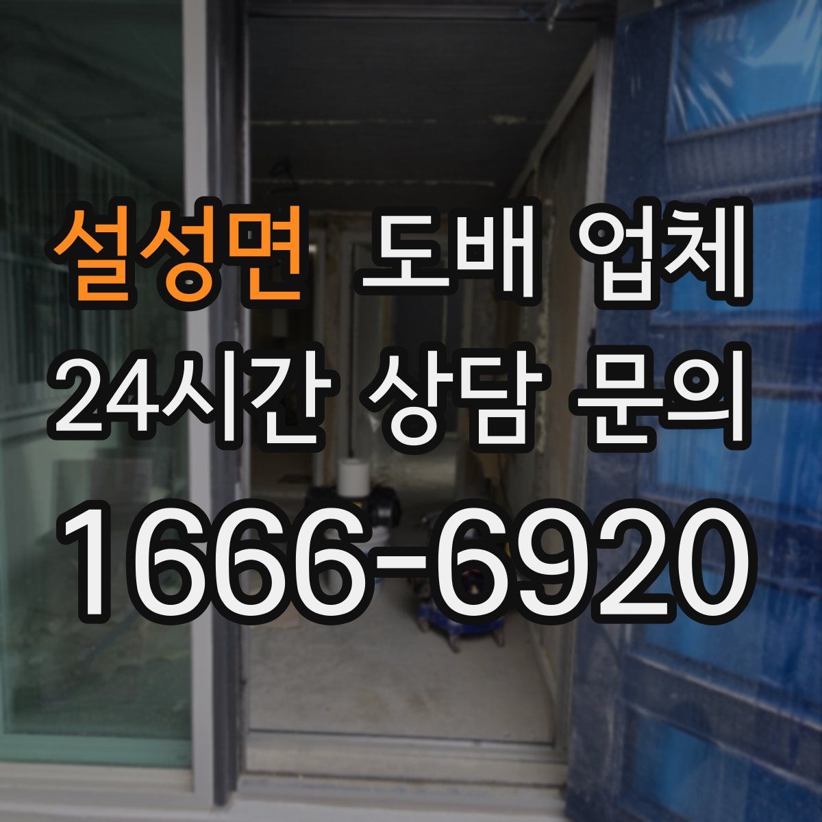 설성면 도배 업체