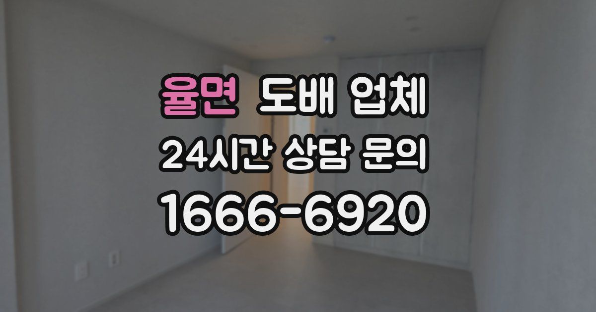 율면 도배 업체