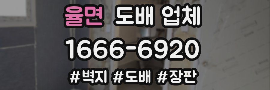율면 도배 업체