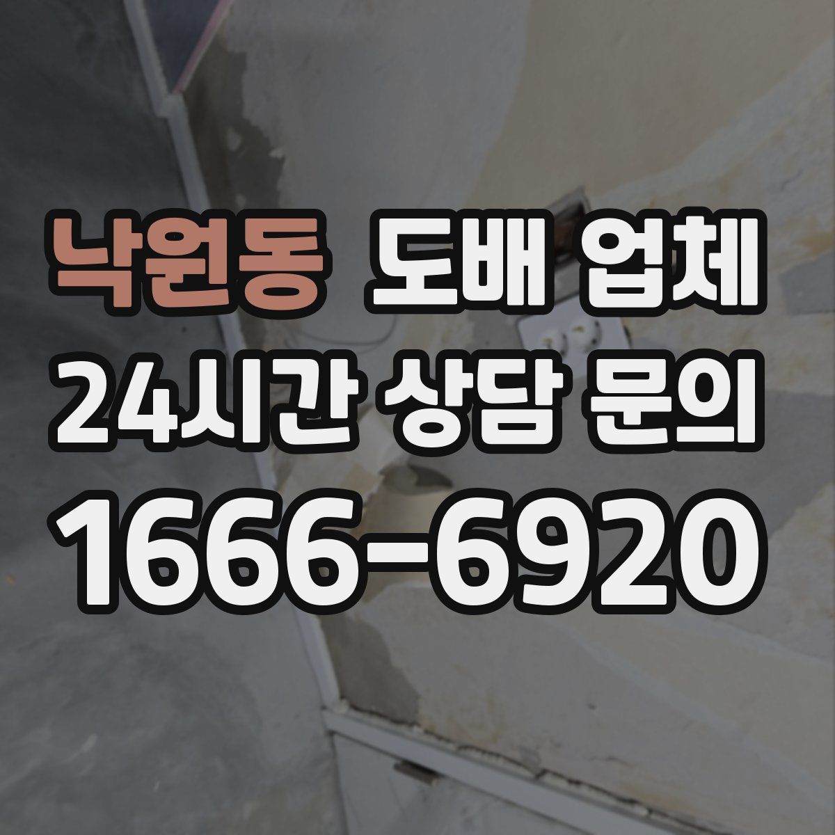 낙원동 도배 업체