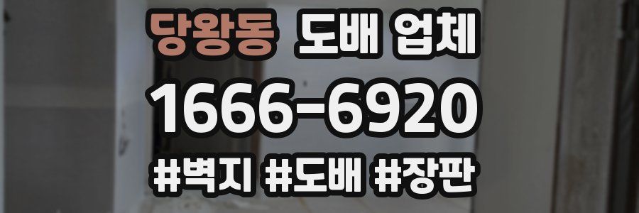 당왕동 도배 업체