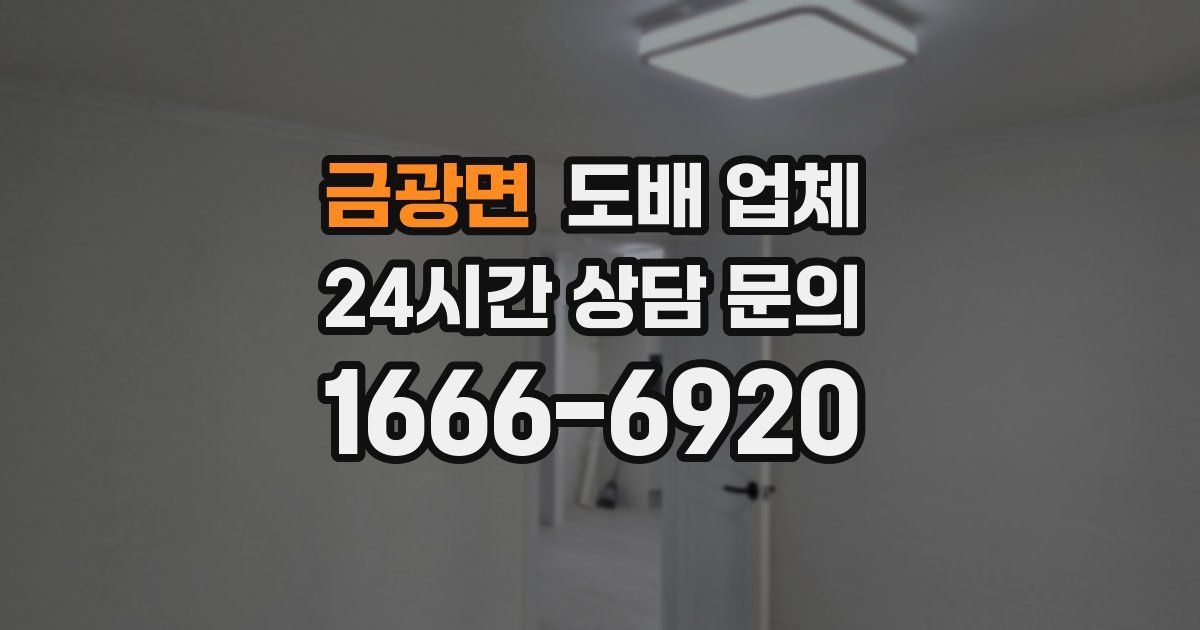 금광면 도배 업체