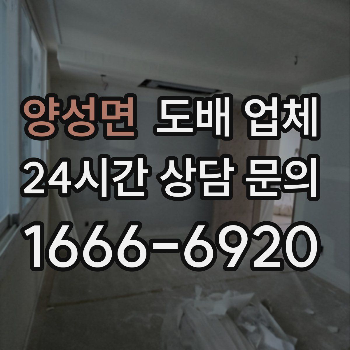 양성면 도배 업체