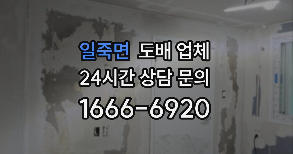 일죽면 도배 업체