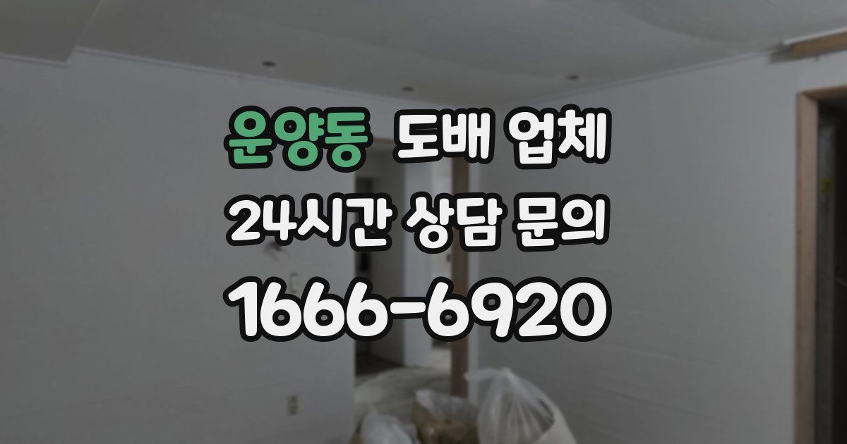 운양동 도배 업체