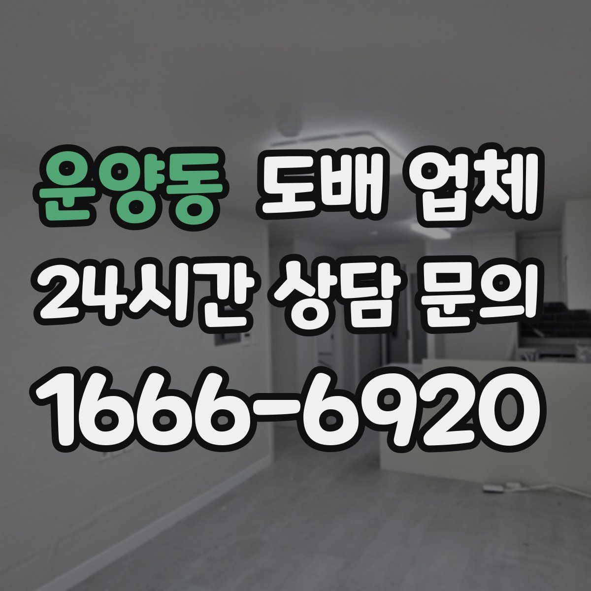 운양동 도배 업체