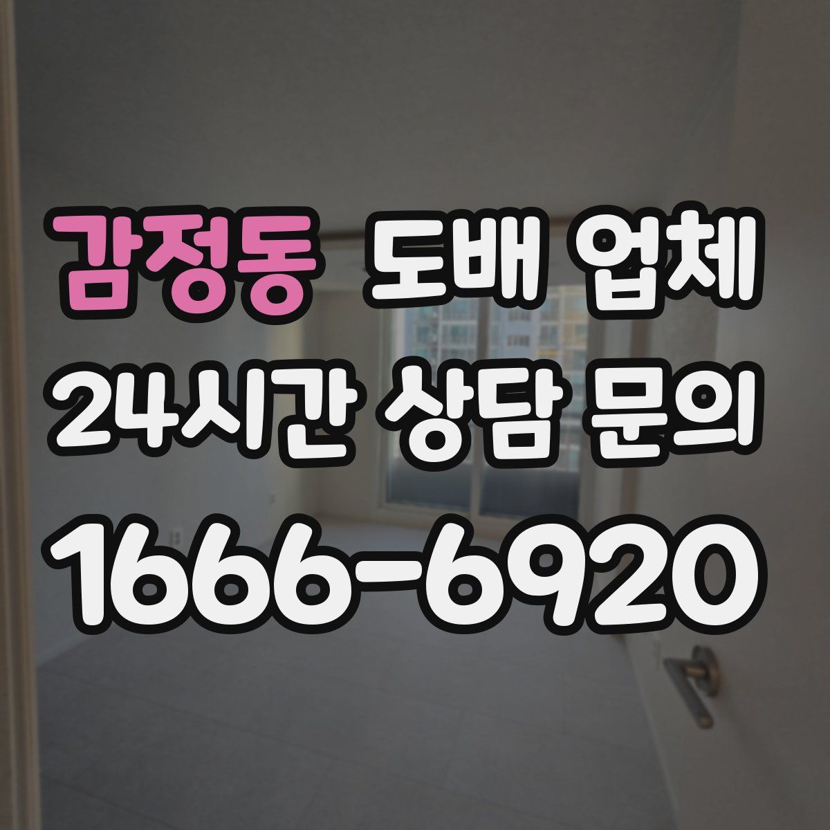 감정동 도배 업체
