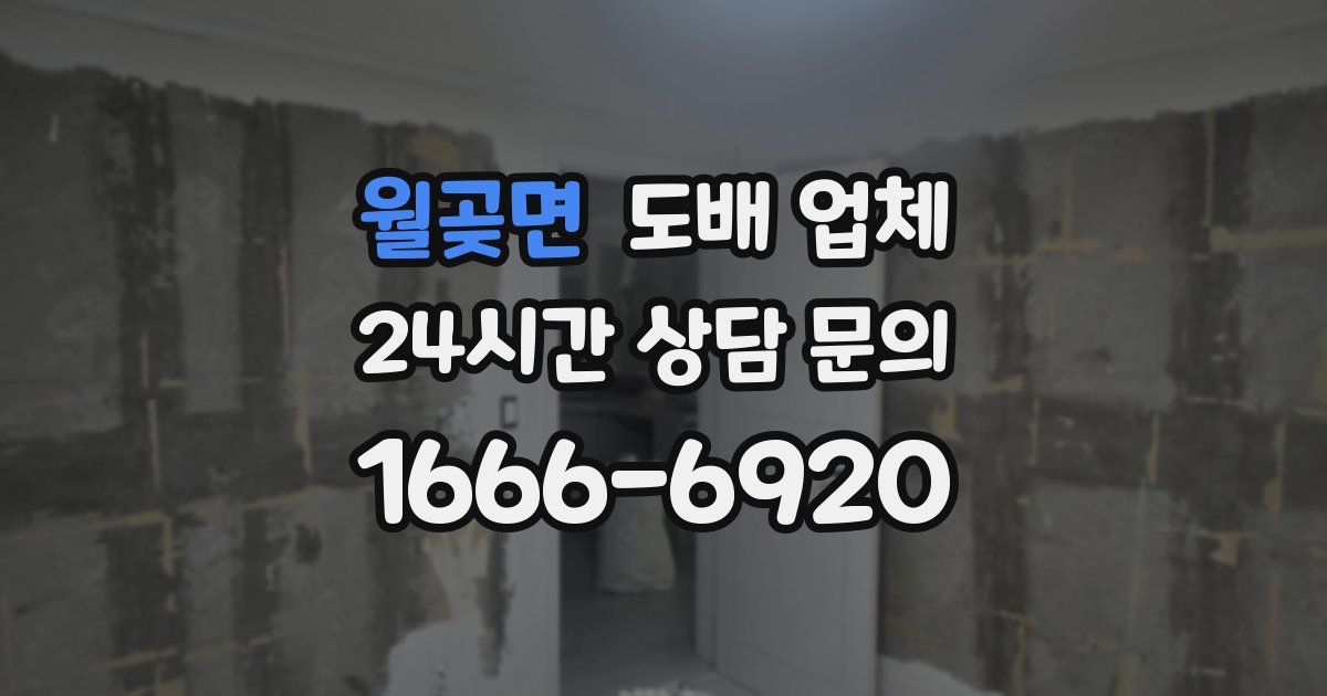 월곶면 도배 업체