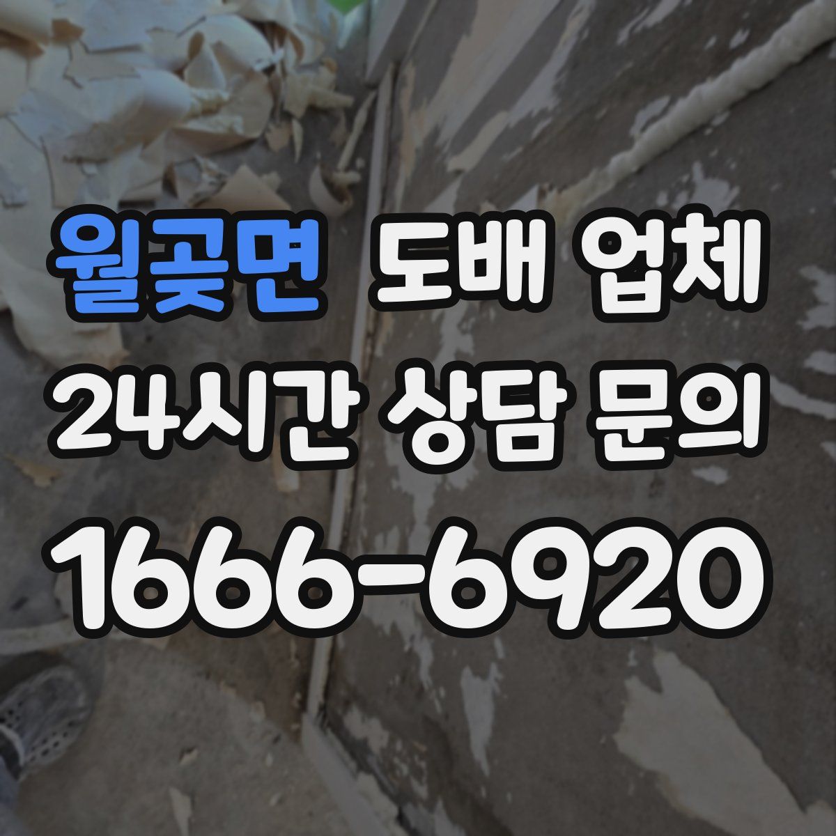 월곶면 도배 업체