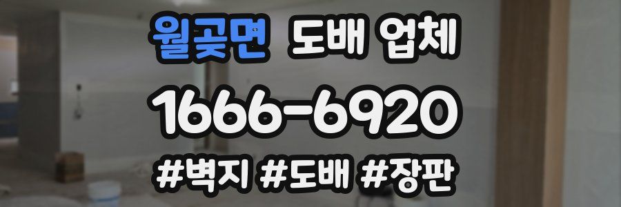 월곶면 도배 업체