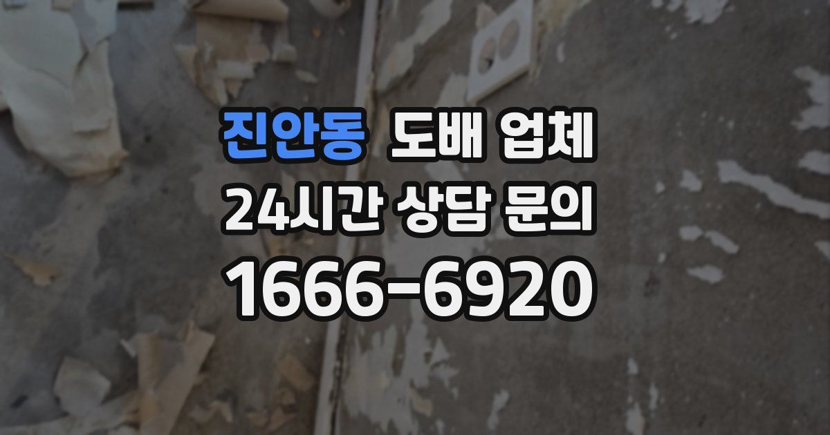 진안동 도배 업체
