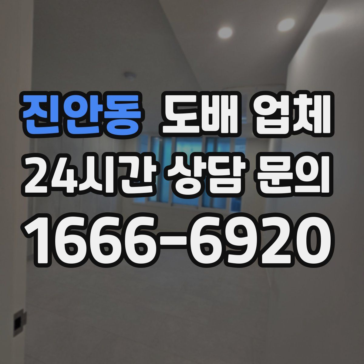 진안동 도배 업체