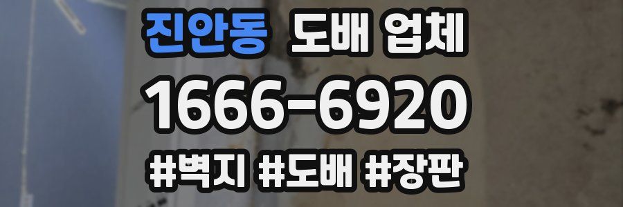 진안동 도배 업체