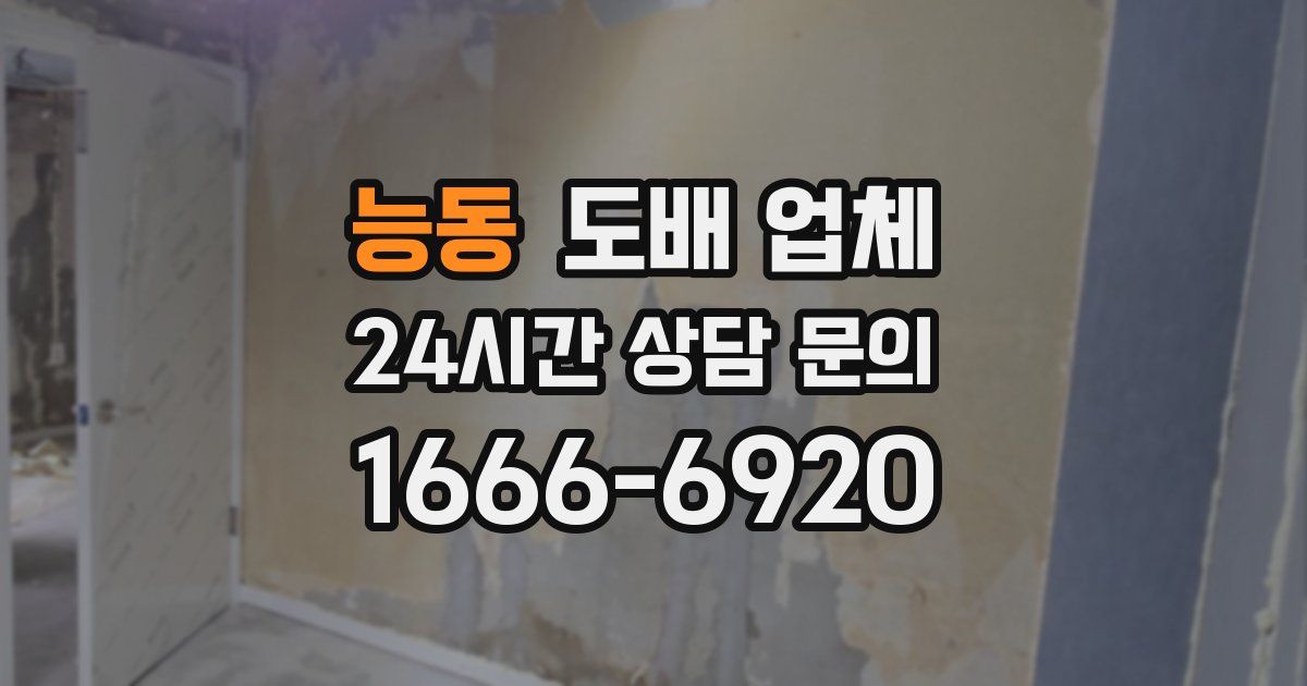 능동 도배 업체