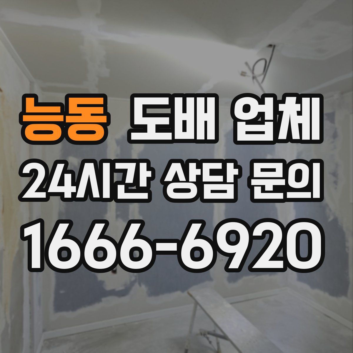 능동 도배 업체