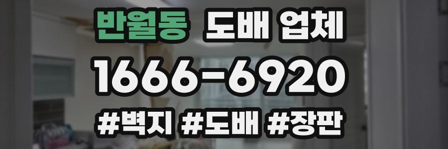 반월동 도배 업체